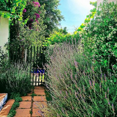 Sunny Lane Apartment Franschhoek Ngoại thất bức ảnh