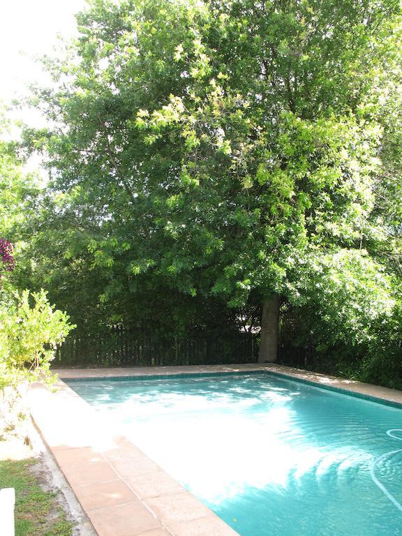 Sunny Lane Apartment Franschhoek Ngoại thất bức ảnh